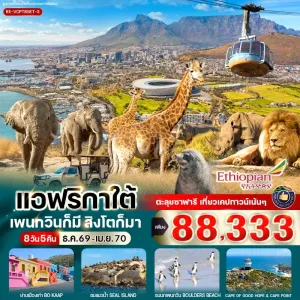 ทัวร์แอฟริกาใต้ ซาฟารี เพนกวินหาดโบลเดอร์ส เกาะแมวน้ำ Free Day 8วัน 5คืน บิน ET