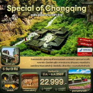 ทัวร์จีน ฉงชิ่ง อู่หลง ต้าจู๋ 5วัน 3คืน บิน CZ