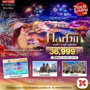 ทัวร์จีน ฮาร์บิน ยามูลี่ มู่ตันเจียง เทศกาลแกะสลักหิมะ ไม่ลงร้าน 6วัน 4คืน บิน XJ