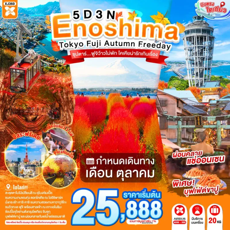 ทัวร์ญี่ปุ่น โตเกียว ทุ่งดอกโคเชีย (ซุปตาร์ ฟูจิว้าวไม่พัก โคเคียน่ารักเกินเรื่อง) 5วัน 3คืน บิน XJ