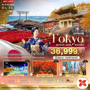 ทัวร์ญี่ปุ่น โตเกียว ฟูจิ นาริตะ 5วัน 3คืน บิน XJ