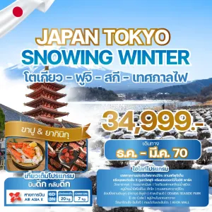 ทัวร์ญี่ปุ่น โตเกียว งานประดับไฟซากะมิโกะ (JAPAN TOKYO SNOWING WINTER) 6วัน 3คืน บิน XJ