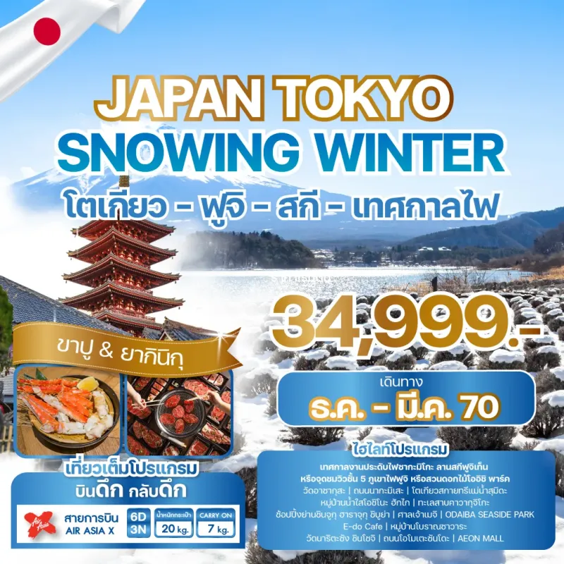 ทัวร์ญี่ปุ่น โตเกียว งานประดับไฟซากะมิโกะ (JAPAN TOKYO SNOWING WINTER) 6วัน 3คืน บิน XJ
