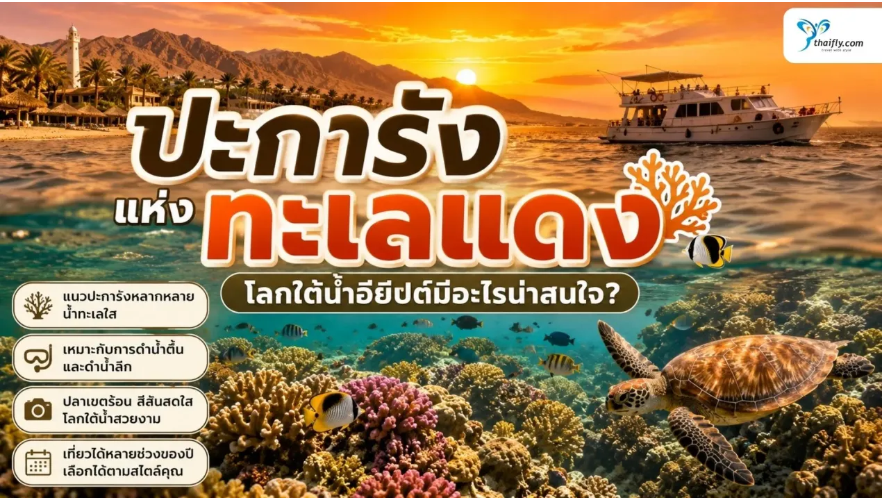 ปะการังแห่งทะเลแดง โลกใต้น้ำอียิปต์มีอะไรน่าสนใจ?