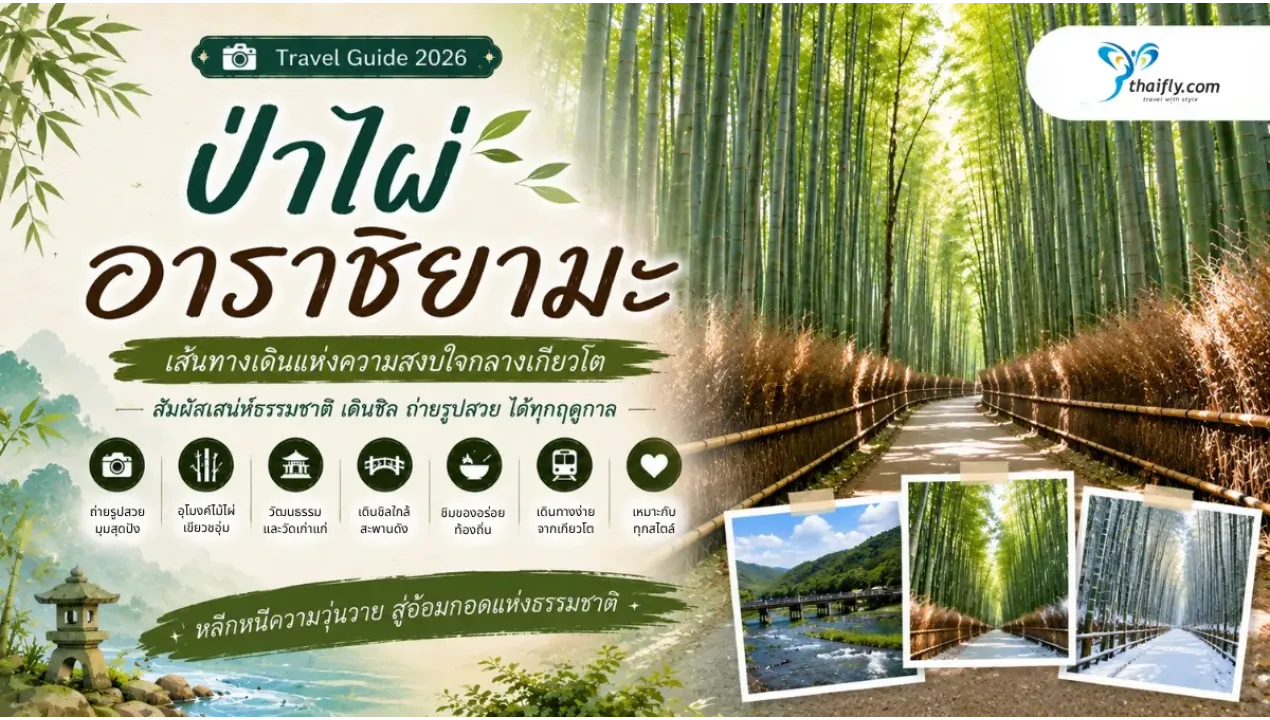 ป่าไผ่อาราชิยามะ เส้นทางเดินกลางป่าไผ่สัญลักษณ์ของเมืองเกียวโต