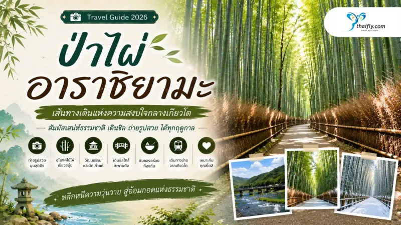 ป่าไผ่อาราชิยามะ เส้นทางเดินกลางป่าไผ่สัญลักษณ์ของเมืองเกียวโต