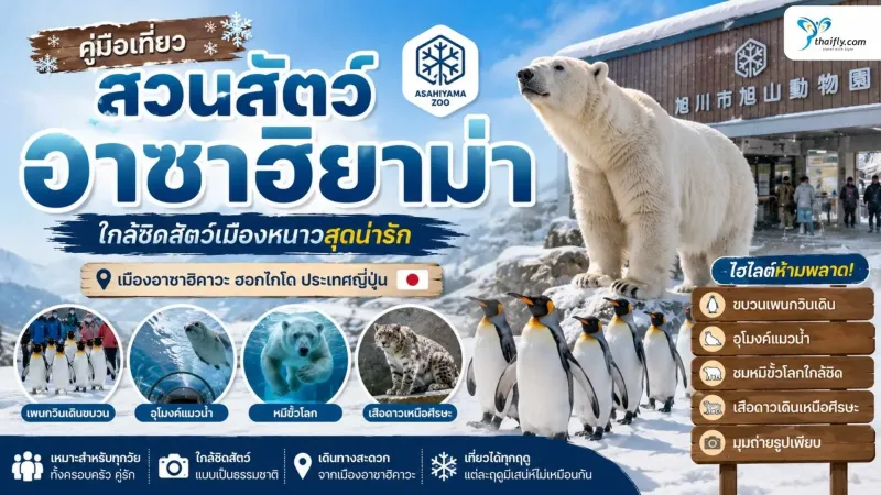 สวนสัตว์อาซาฮิยาม่า (Asahiyama Zoo) สัมผัสชีวิตสัตว์เมืองหนาวแบบใกล้ชิด