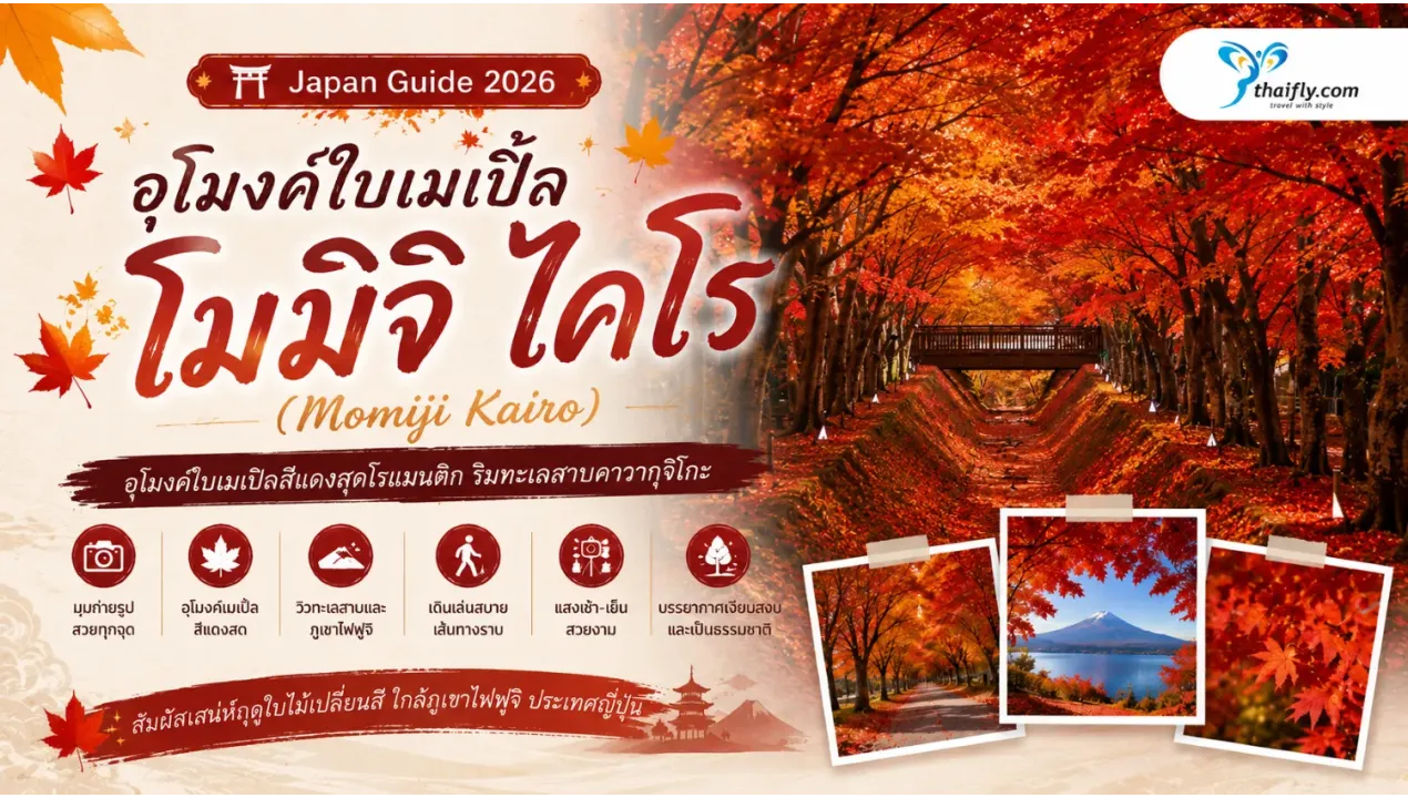 อุโมงค์ใบเมเปิ้ลโมมิจิ ไคโร ชมอุโมงค์สีแดงทองริมทะเลสาบคาวากุจิโกะ