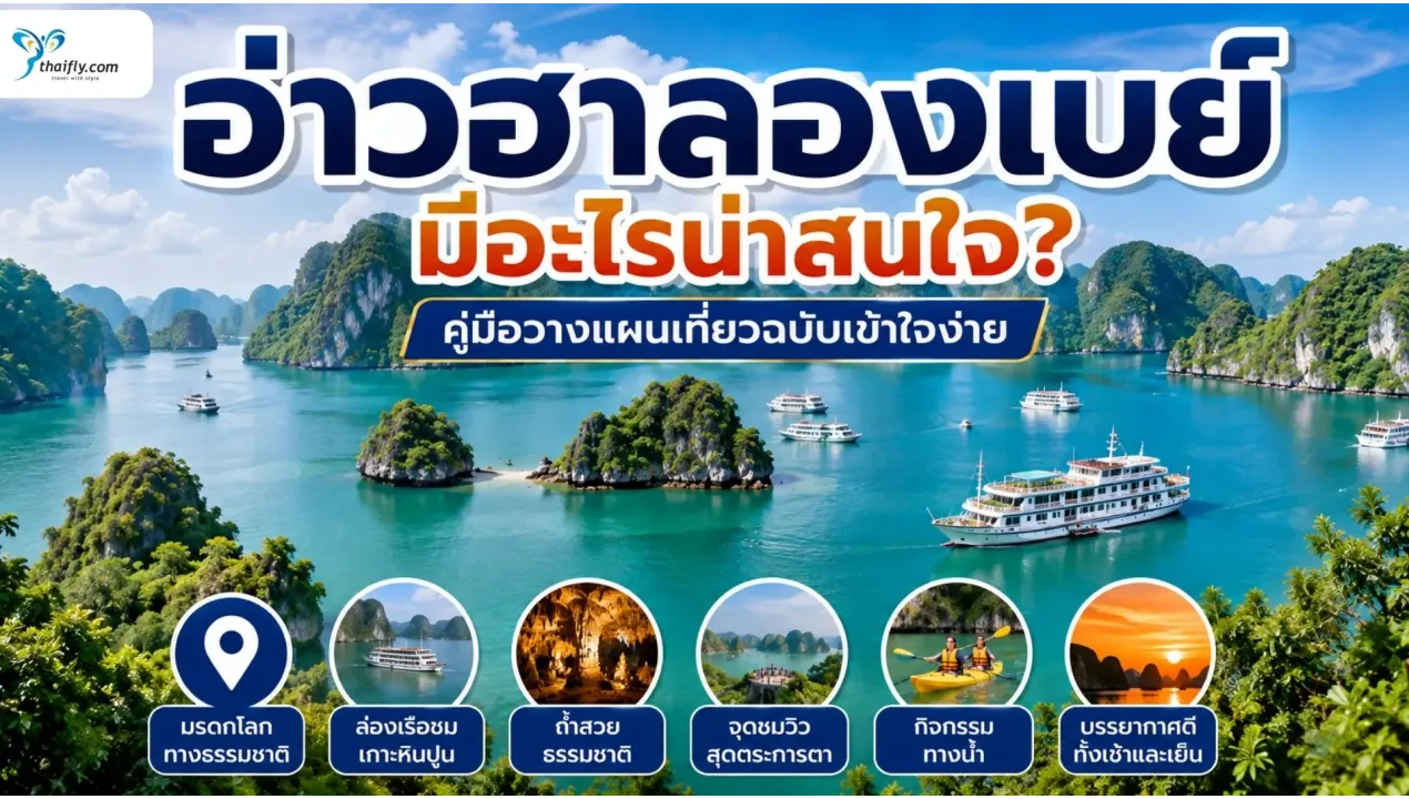 อ่าวฮาลองเบย์ มีอะไรน่าสนใจ? รู้จักมรดกโลกกลางทะเลก่อนเดินทาง