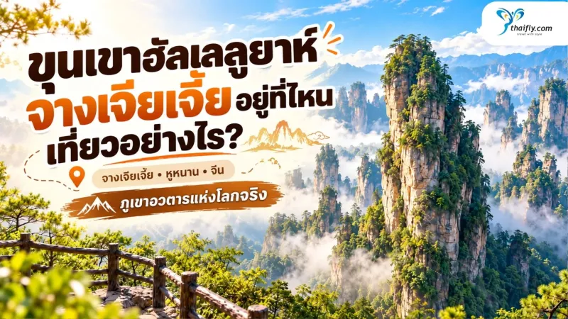 ขุนเขาฮัลเลลูยาห์ จางเจียเจี้ย ภูเขาอวตารแห่งโลกจริงที่ต้องเห็นด้วยตา