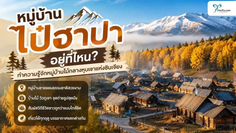 หมู่บ้านไป๋ฮาปา อยู่ที่ไหน? ทำความรู้จักหมู่บ้านไม้กลางหุบเขาแห่งซินเจียง