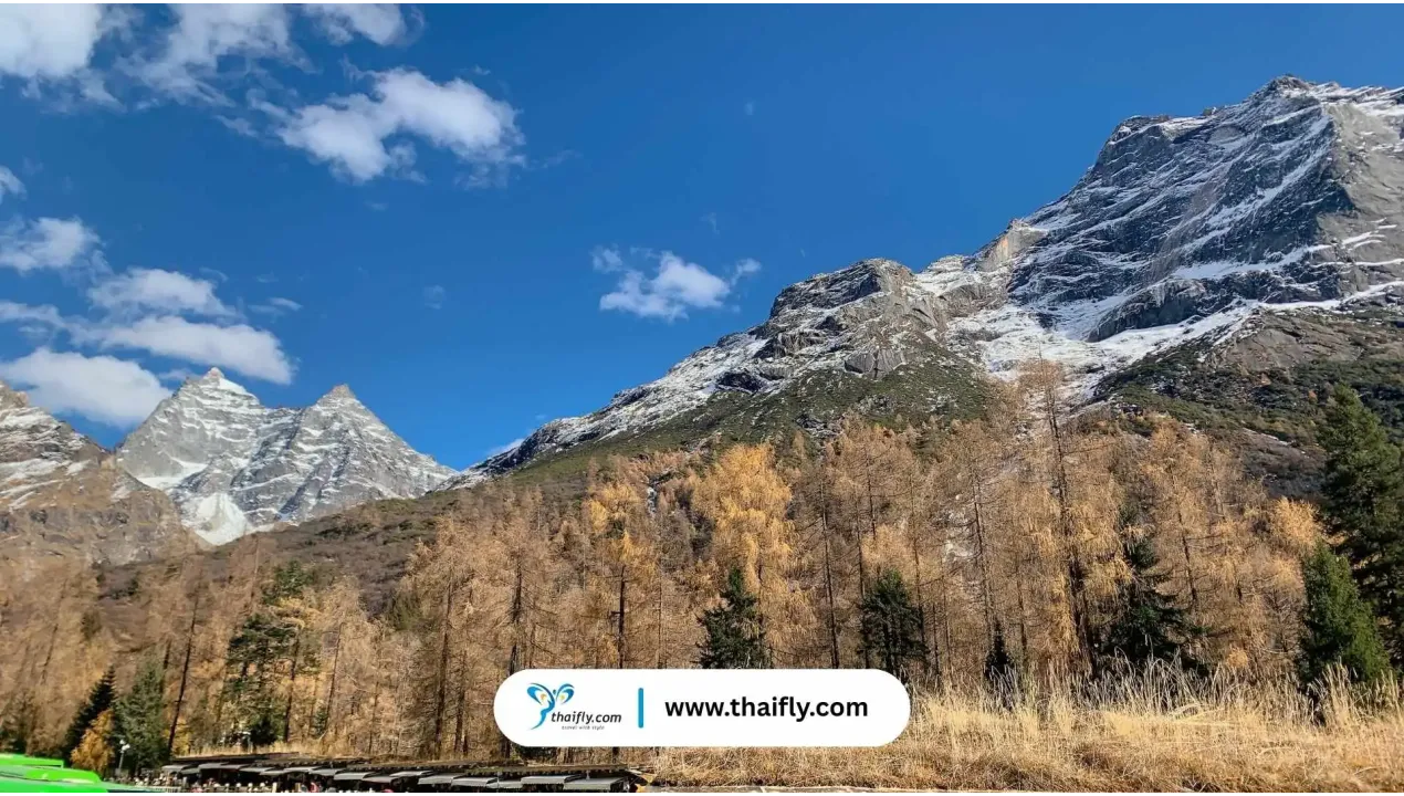 เที่ยวเฉิงตู (Chengdu)  ที่เที่ยว หมีแพนด้า อาหารเสฉวน และทริปคุ้ม ๆ