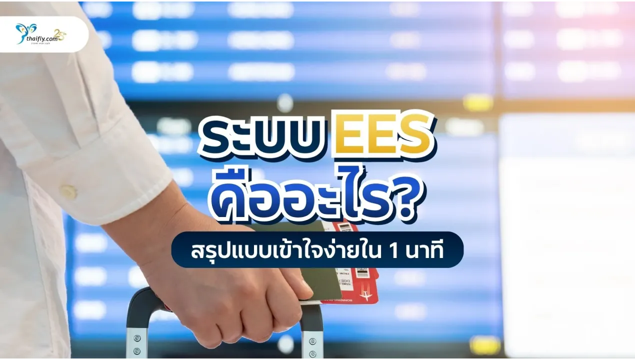 ระบบ EES คืออะไร? สรุปแบบเข้าใจง่ายใน 1 นาที