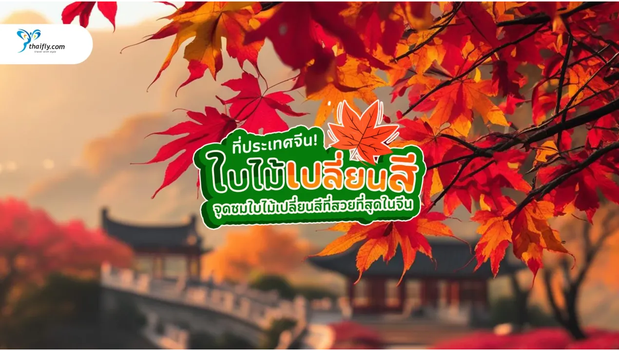 ใบไม้เปลี่ยนสี จีน ช่วงเวลาที่งดงามที่สุดของปี เที่ยวที่ไหนดี?