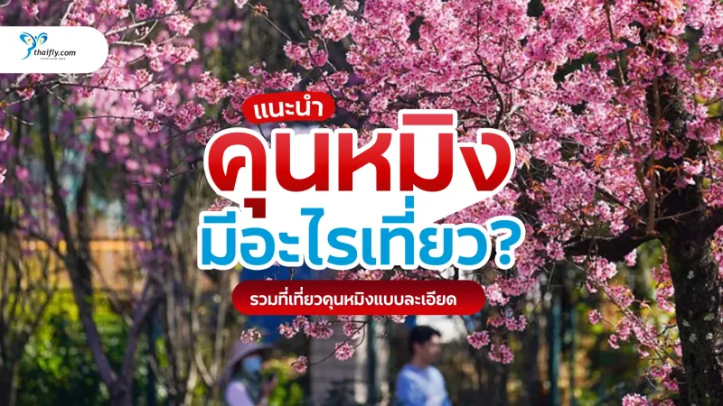 คุนหมิงมีอะไรเที่ยว? รวมที่เที่ยวคุนหมิงแบบละเอียด เที่ยวได้ทั้งปี