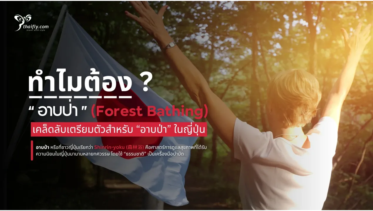 ทำไมต้อง “อาบป่า” (Forest Bathing) เมื่อไปญี่ปุ่น?