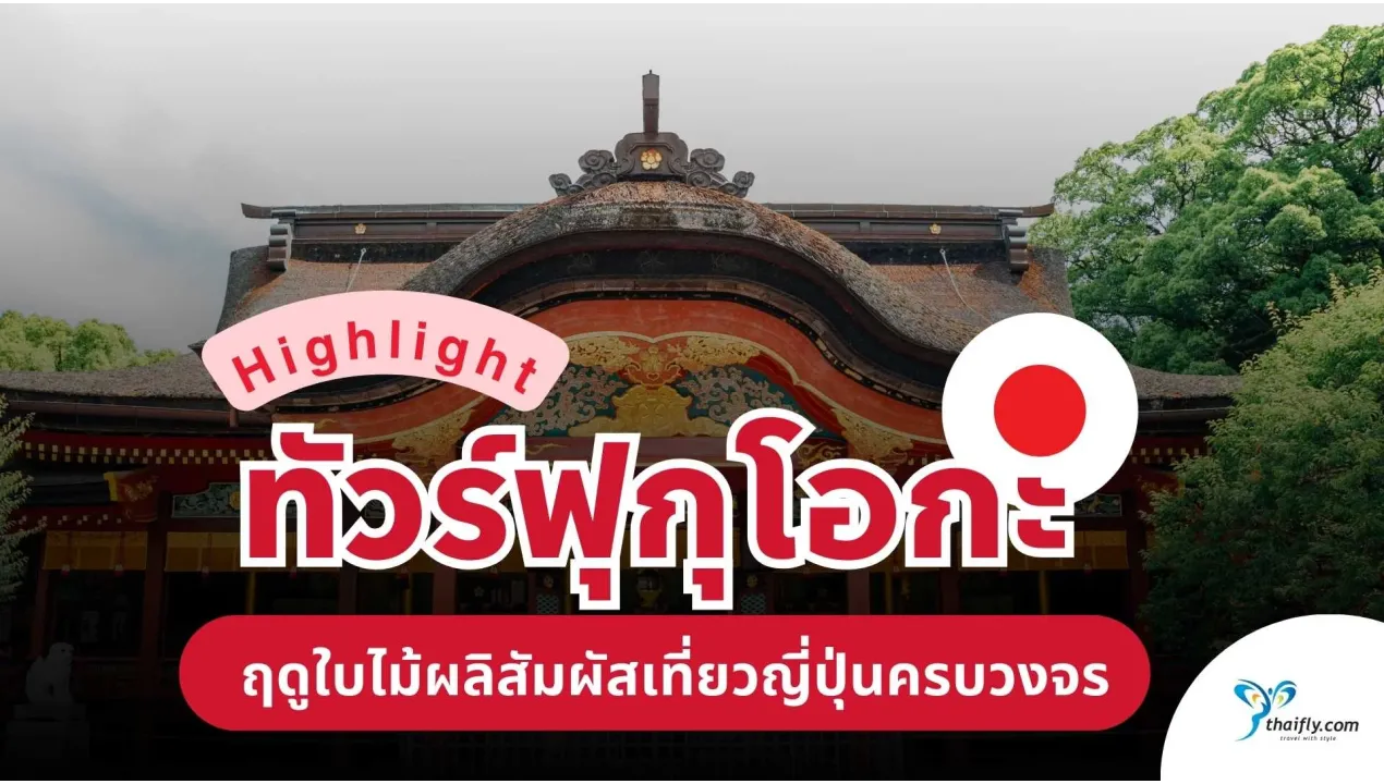 เที่ยวฟุกุโอกะในฤดูใบไม้ผลิ ประสบการณ์ทัวร์ญี่ปุ่นครบวงจรกับ Thaifly