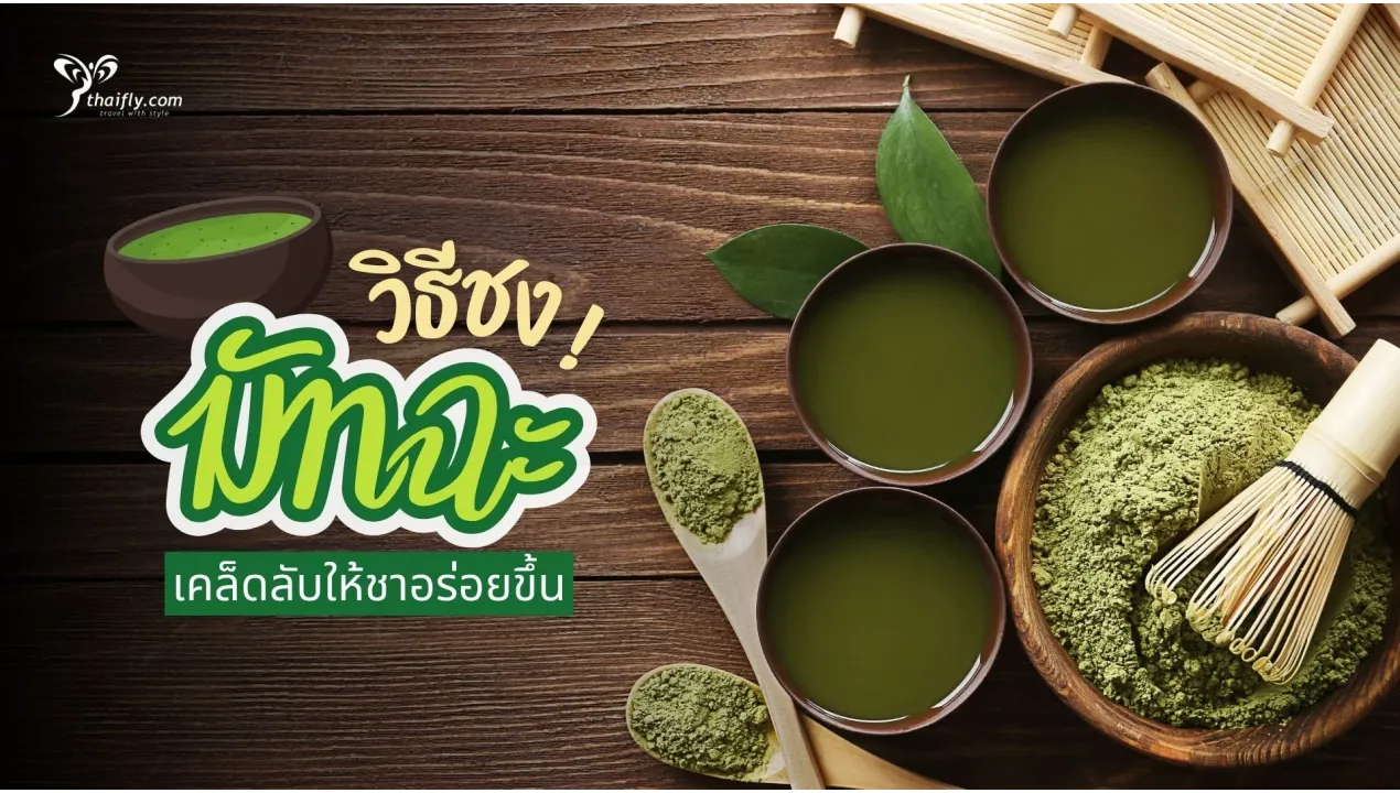 วิธีชงชาเขียวมัทฉะแบบญี่ปุ่น พร้อมอุปกรณ์ที่จำเป็นและเคล็ดลับให้ชาอร่อยขึ้น