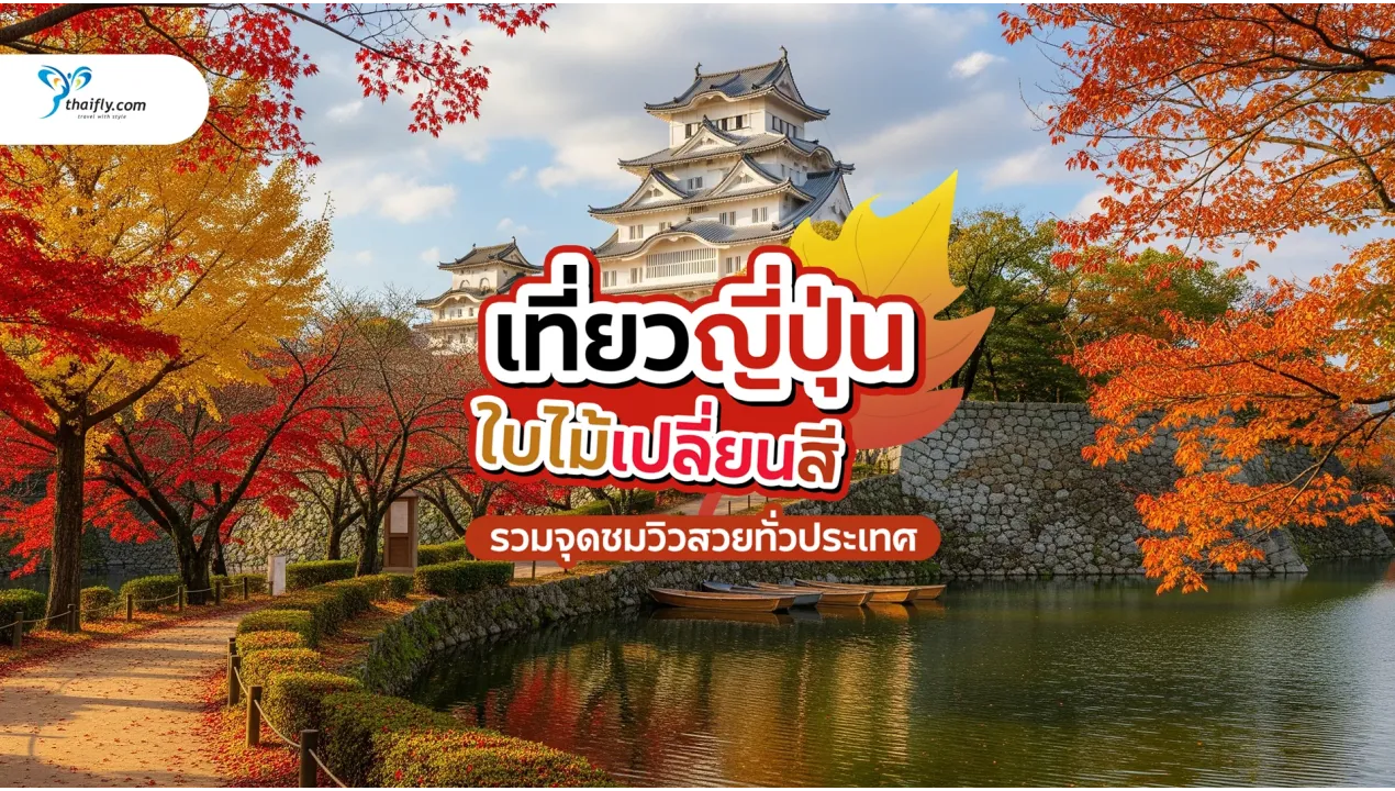 เที่ยวญี่ปุ่น ใบไม้เปลี่ยนสี 2025 – รวมจุดชมวิวสวยทั่วประเทศ
