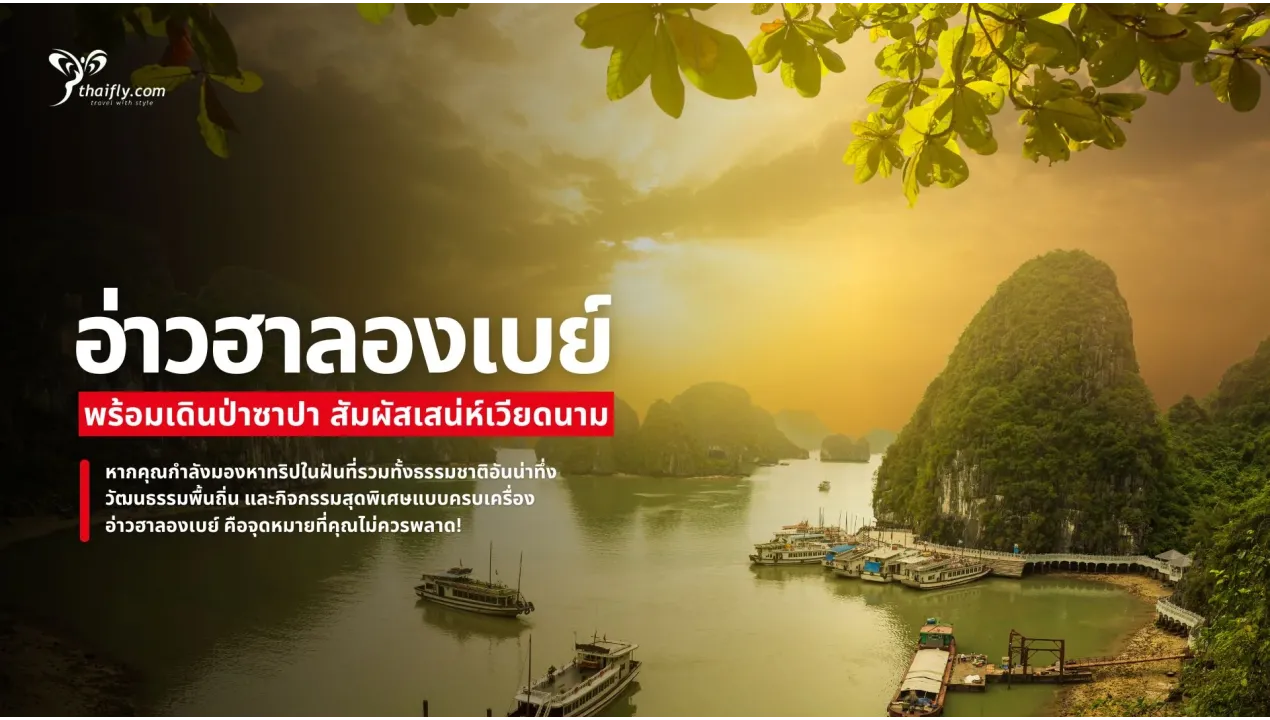 ผจญภัยสุดพิเศษที่อ่าวฮาลองเบย์ พร้อมเดินป่าซาปา สัมผัสเสน่ห์เวียดนาม