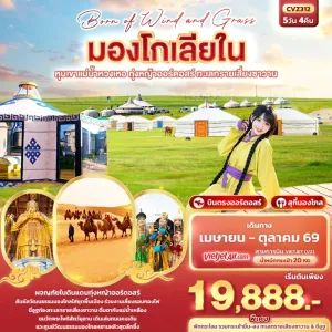 ทัวร์จีน มองโกเลีย หุบเขาแม่น้ำหวงเหอ ทุ่งหญ้าออร์ดอสร์ ทะเลทรายเสี่ยงซาวาน 5วัน 4คืน บิน VZ