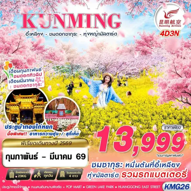ทัวร์จีน คุนหมิง อี้เหลียง ทุ่งหญ้ามัสตาร์ด ชมซากุระ ชมทิวลิป 4วัน 3คืน บิน KY