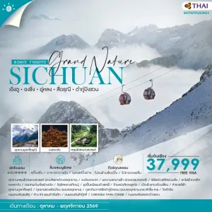 ทัวร์จีน เฉิงตู ฉงชิ่ง อู่หลง สี่ดรุณี ต๋ากู่ปิงชวน 8วัน 7คืน บิน TG