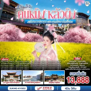 ทัวร์จีน คุนหมิง หลัวผิง มหัศจรรย์ซากุระและทุ่งมัสตาร์ดสีทอง (ทัวร์ลงร้าน) 4วัน 3คืน บิน KY