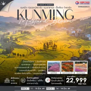 ทัวร์จีน คุนหมิง อี้เหลียง โหลวผิง หุบเขาซากุระ ทุ่งดอกมัสตาร์ด 5วัน 4คืน บิน MU