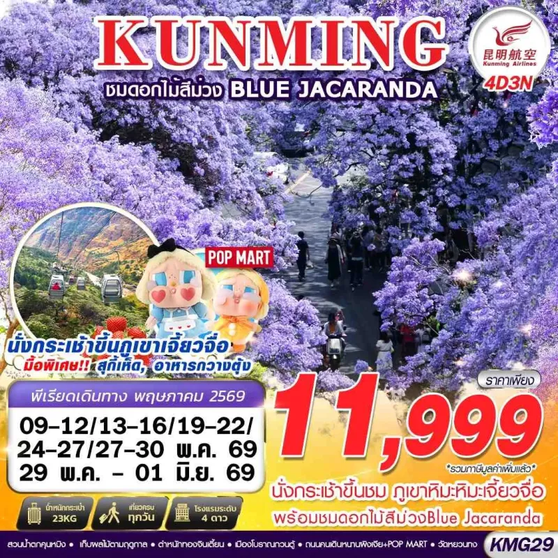 ทัวร์จีน คุนหมิง (KUNMING ภูเขาหิมะเจี้ยวจื่อ - ดอกไม้สีม่วง) 4วัน 3คืน บิน KY