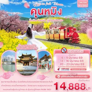 ทัวร์จีน คุนหมิง อี้เหลียง โหลวผิง ทุ่งดอกมัสตาร์ด ซากุระ 4วัน 3คืน บิน MU (ไม่ลงร้าน)
