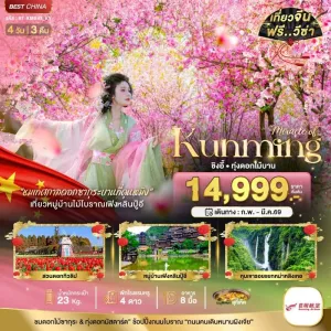 ทัวร์จีน คุนหมิง ชิงอี้ 4วัน 3คืน บิน KY