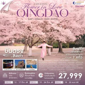 ทัวร์จีน ชิงเต่า เหยียนไถ เว่ยไห่ เผิงไหล ชมดอกเหมยบาน หาดซาจื้อโข่ว 6วัน 4คืน บิน SC