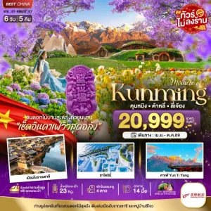 ทัวร์จีน คุนหมิง ต้าหลี่ ลี่เจียง สวนดอกไม้แห่งยูนนาน 6วัน 5คืน บิน KY