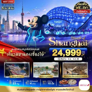 ทัวร์จีน เซี่ยงไฮ้ ดิสนีย์แลนด์ เมืองโบราณจูเจียเจี่ยว (ไม่ลงร้าน) 5วัน 4คืน บิน FM
