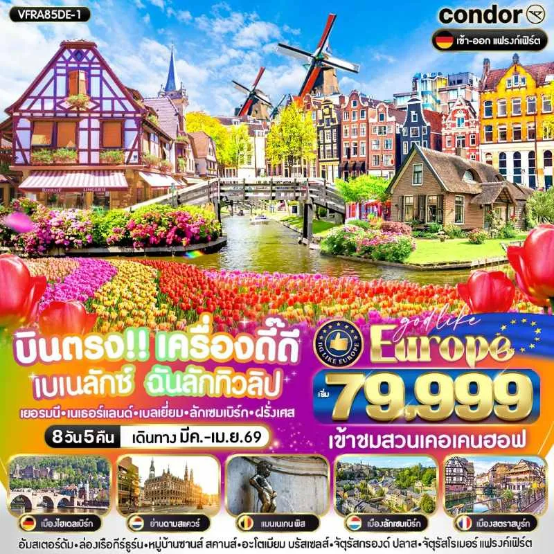 ทัวร์ยุโรป เยอรมัน เนเธอร์แลนด์ เบลเยี่ยม ลักเซมเบิร์ก ฝรั่งเศส สวนเคอร์เคนฮอฟ [MAR-APR] 8วัน 5คืน บิน DE