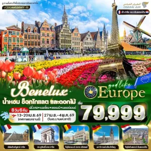 ทัวร์ยุโรป ฝรั่งเศส เบลเยี่ยม เยอรมัน เนเธอร์แลนด์ 8วัน 6คืน บิน WY