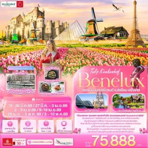 ทัวร์ยุโรป เยอรมัน เนเธอร์แลนด์ เบลเยี่ยม ฝรั่งเศส สวนเคอเคนฮอฟ 8วัน 5คืน บิน EK