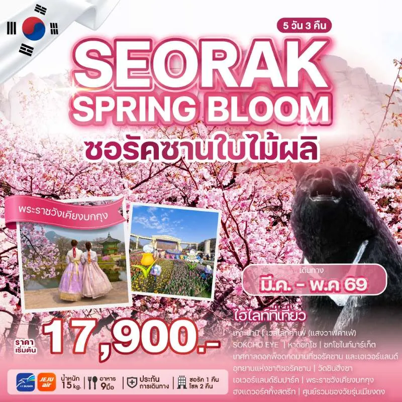 ทัวร์เกาหลี โซล ชมซากุระ เกาะนามิ อุทยานแห่งชาติซอรัคซาน 5วัน 3คืน บิน 7C