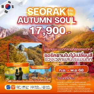 ทัวร์เกาหลี โซล (SEORAK AUTUMN SOUL) [SEP-NOV] 5วัน 3คืน บิน 7C