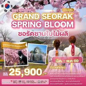 ทัวร์เกาหลี โซล ชมซากุระ เกาะนามิ เอเวอร์แลนด์ เมียงดง 5วัน 3คืน บิน OZ