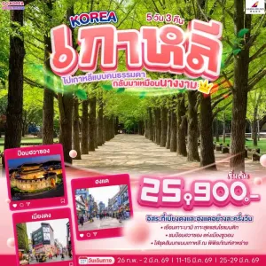 ทัวร์เกาหลี โซล เกาะนามิ เมียงดง 5วัน 3คืน บิน OZ