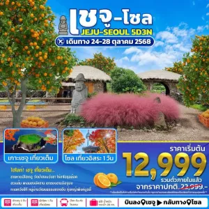 ทัวร์เกาหลี เชจู โซล ทุ่งหญ้าพิงค์มูลลี่ อิสดระเต็มวัน [OCT] 5วัน 3คืน บิน 7C (บินภายใน 1ขา)