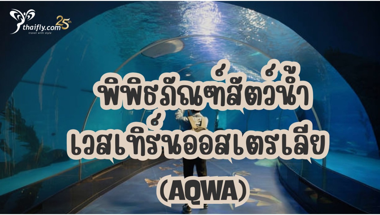 ข้อมูลเที่ยวออสเตรเลีย :  พิพิธภัณฑ์สัตว์น้ำเวสเทิร์นออสเตรเลีย (AQWA)
