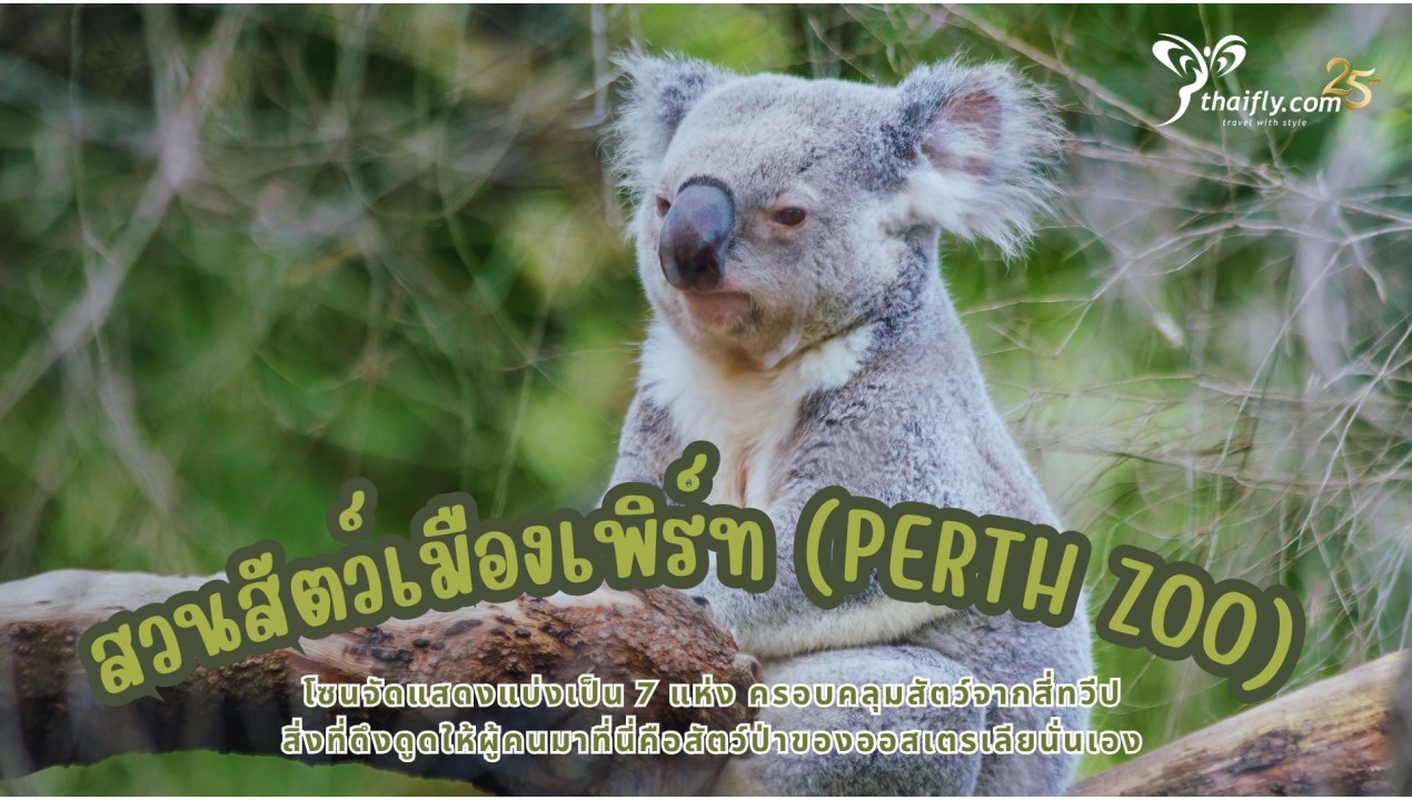 ข้อมูลเที่ยวออสเตรเลีย : สวนสัตว์เมืองเพิร์ท (Perth Zoo)