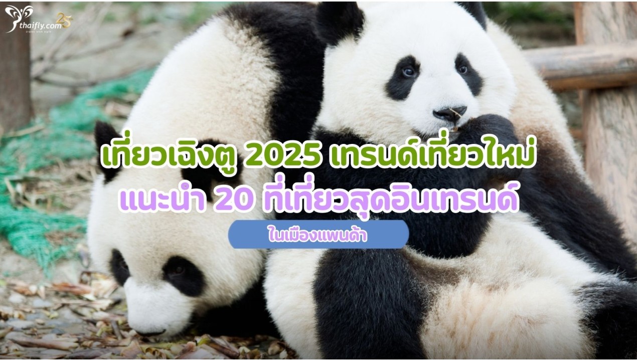 เที่ยวเฉิงตู 2025  เทรนด์เที่ยวใหม่ แนะนำ 20 ที่เที่ยวสุดอินเทรนด์ในเมืองแพนด้า