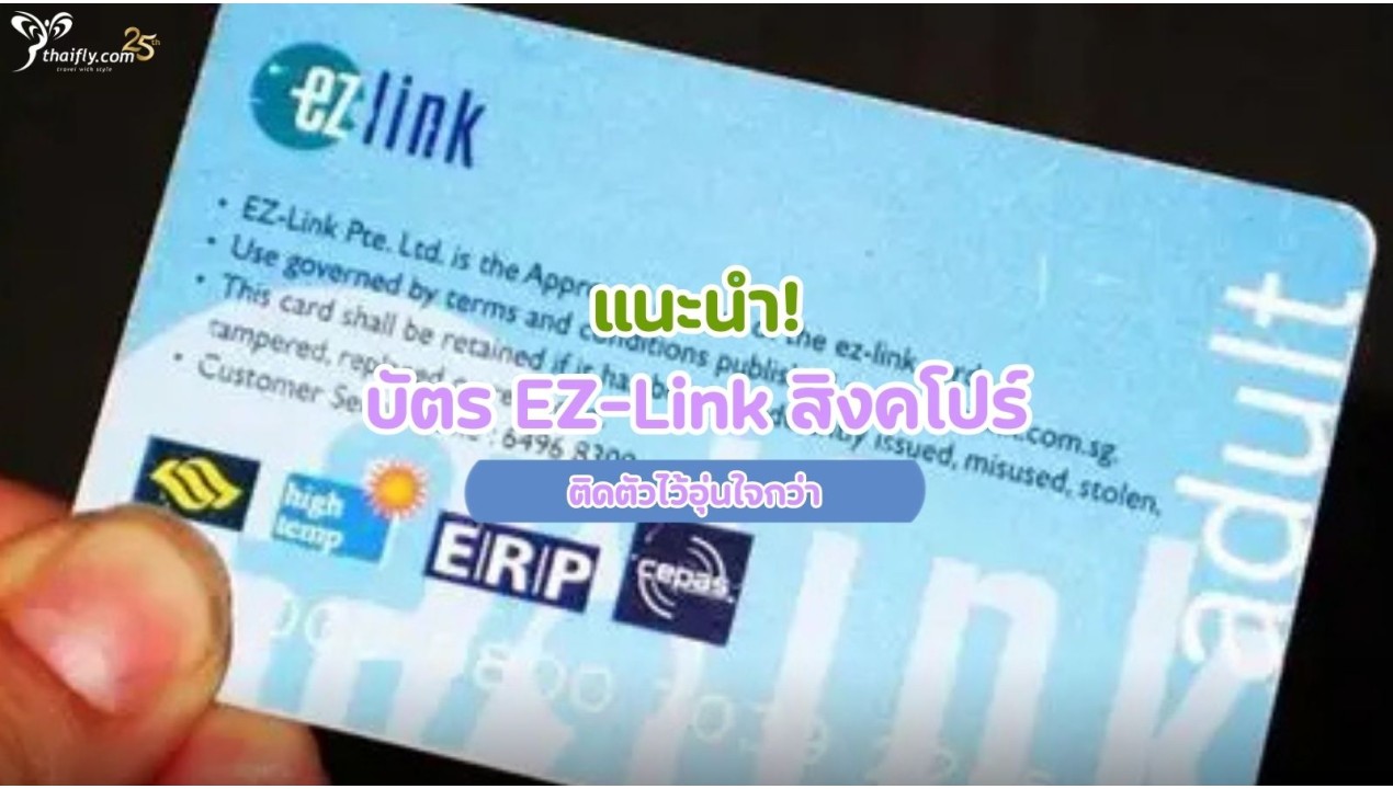 แนะนำ! บัตร EZ-Link สิงคโปร์ ติดตัวไว้อุ่นใจกว่า