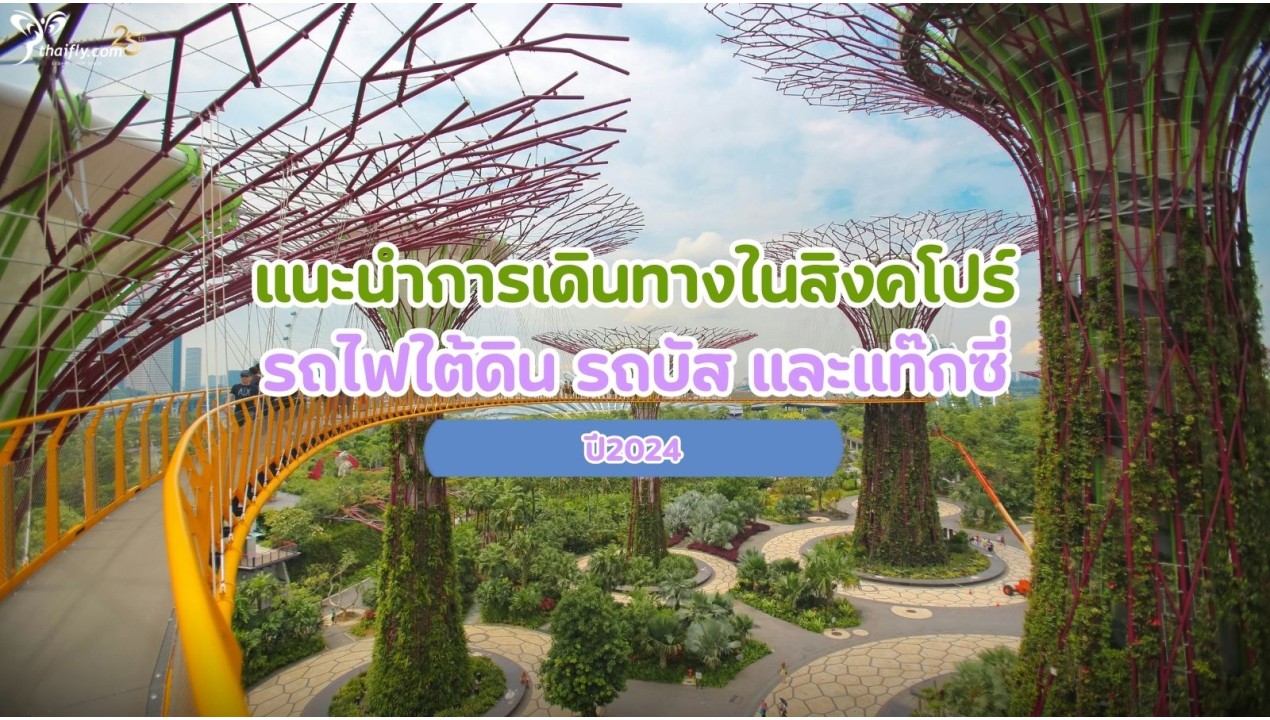 แนะนำการเดินทางในสิงคโปร์ รถไฟใต้ดิน รถบัส และแท๊กซี่