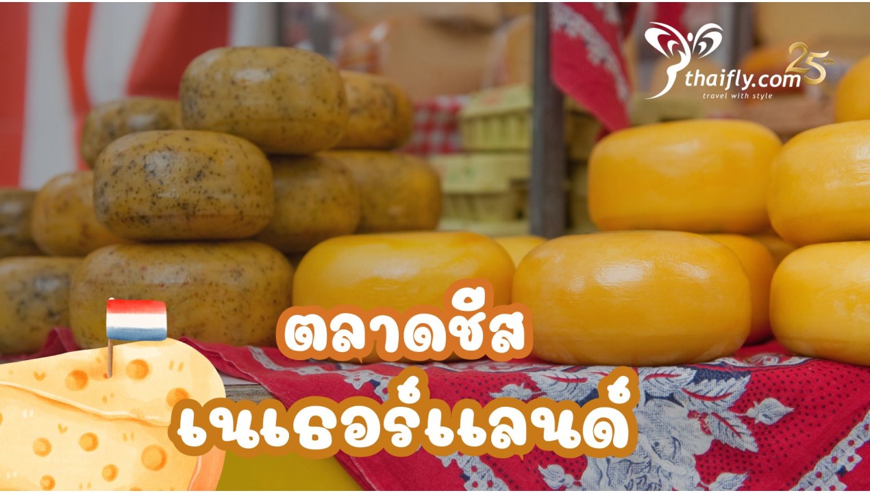 ข้อมูลเที่ยวเนเธอร์แลนด์ : ตลาดชีสเนเธอร์เเลนด์
