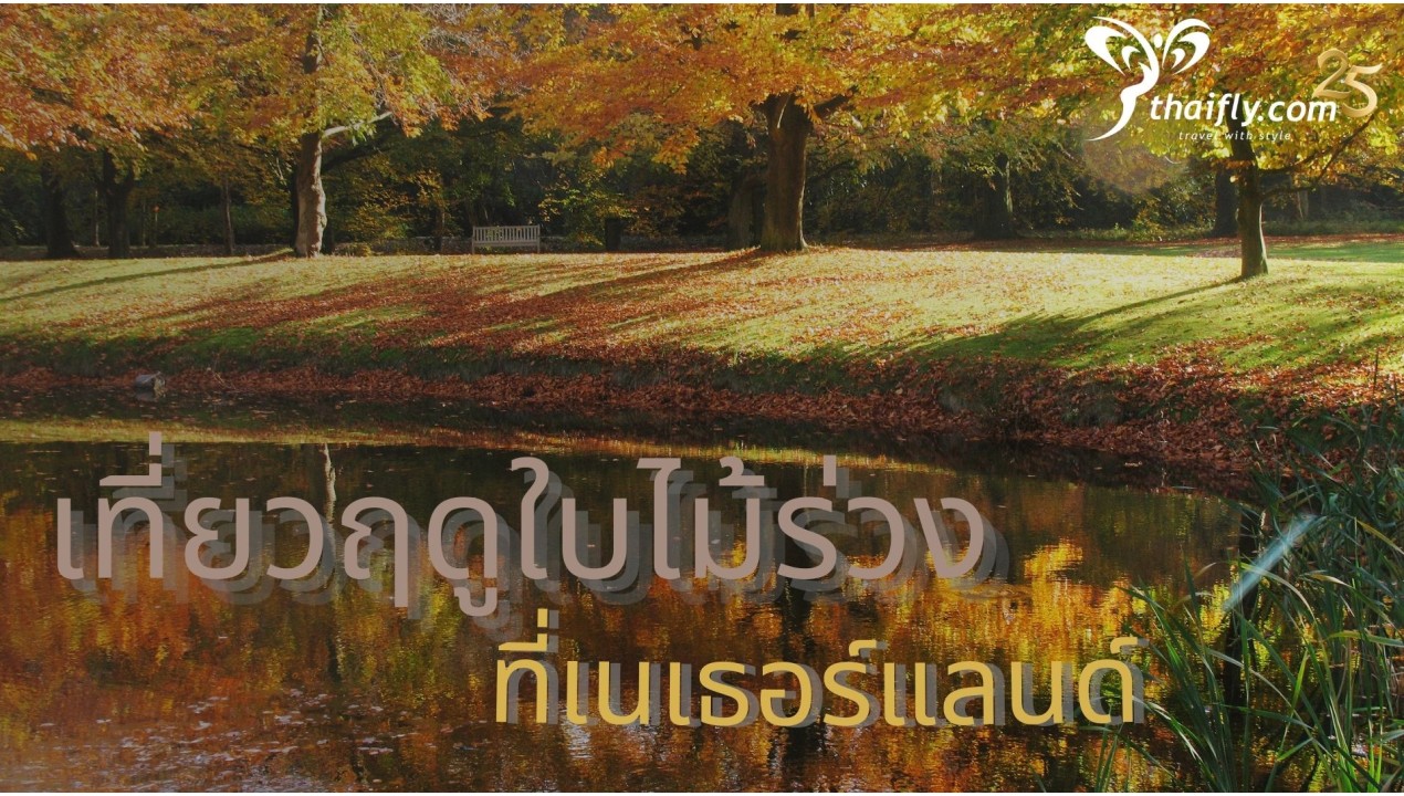 ข้อมูลเที่ยวเนเธอร์แลนด์ : เที่ยวฤดูใบไม้ร่วงที่เนเธอร์แลนด์